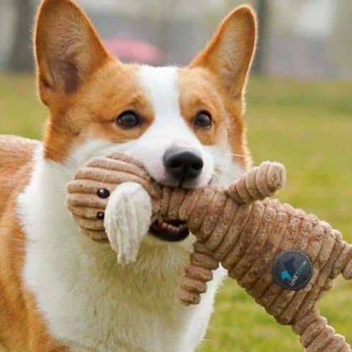 犬 おもちゃ ぬいぐるみ | コーギーが喜ぶ丈夫な動物ぬいぐるみ