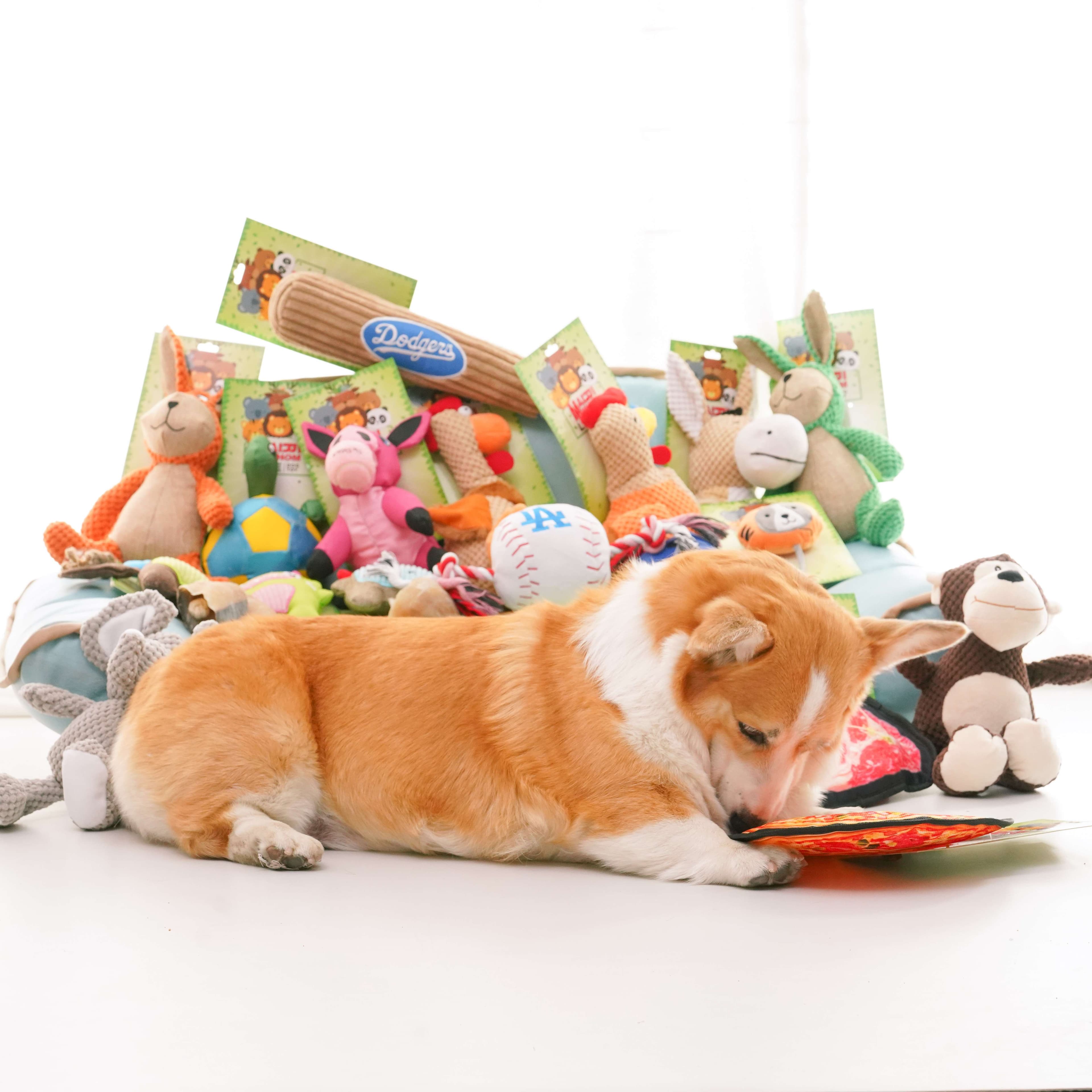 犬 おもちゃ ぬいぐるみ | もふもふうさぎのぬいぐるみ