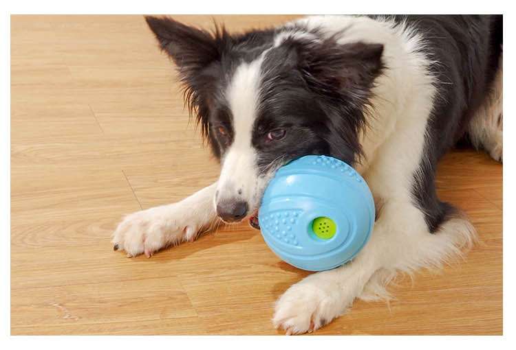 犬 おもちゃ ボール | 知育ペット噛むおもちゃボール