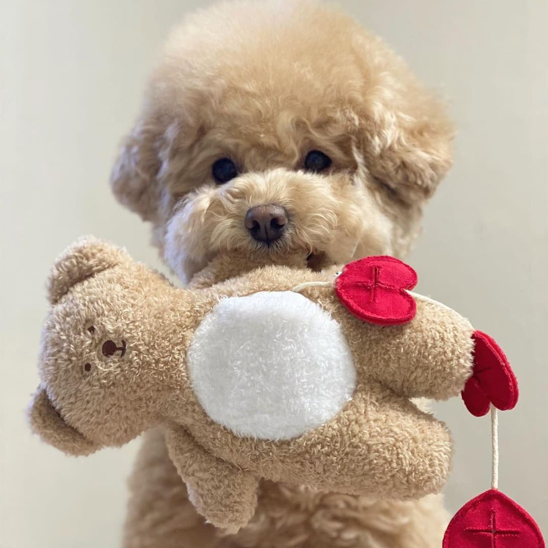 犬のおもちゃ ハートくまちゃんぬいぐるみ