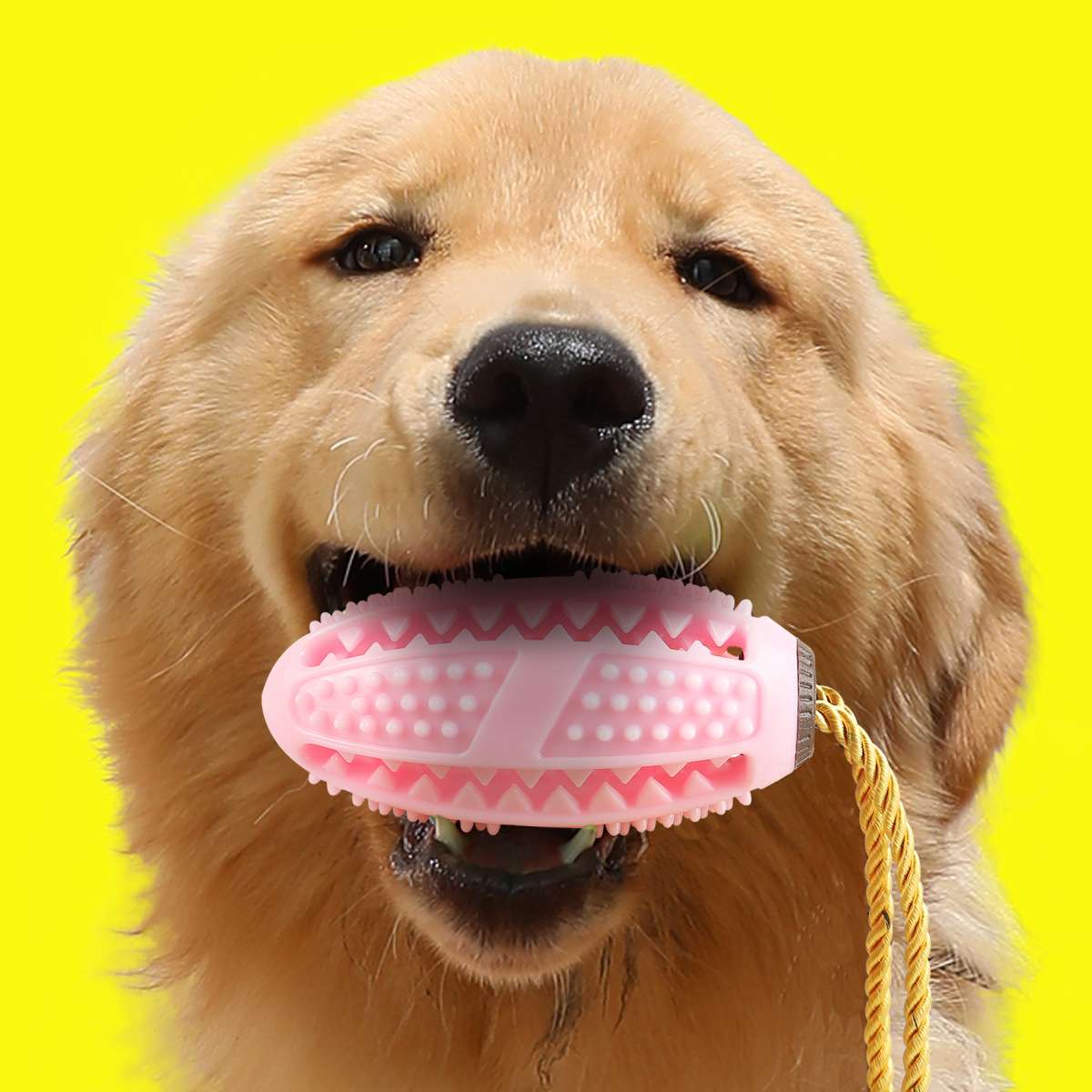犬 おもちゃ 歯磨き | わんちゃんの歯磨きトイ