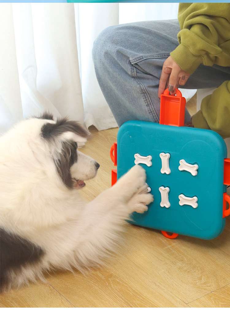 犬 おもちゃ 知育 | わんちゃん喜ぶ知育パズルおもちゃセット