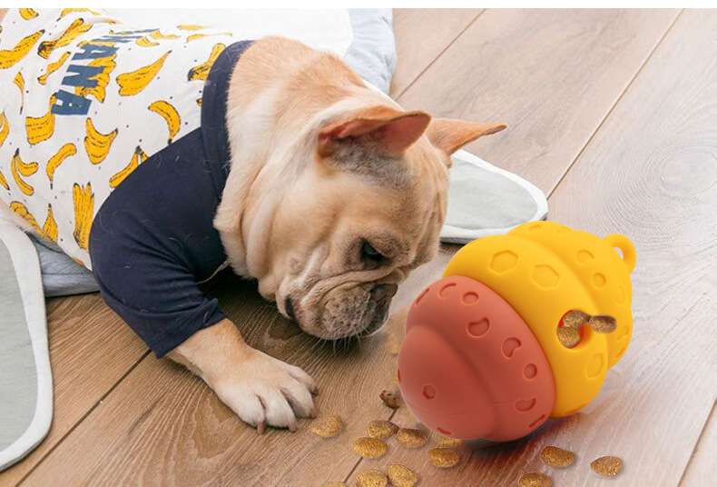 犬 おもちゃ 知育 | ペット用多機能知育おもちゃ