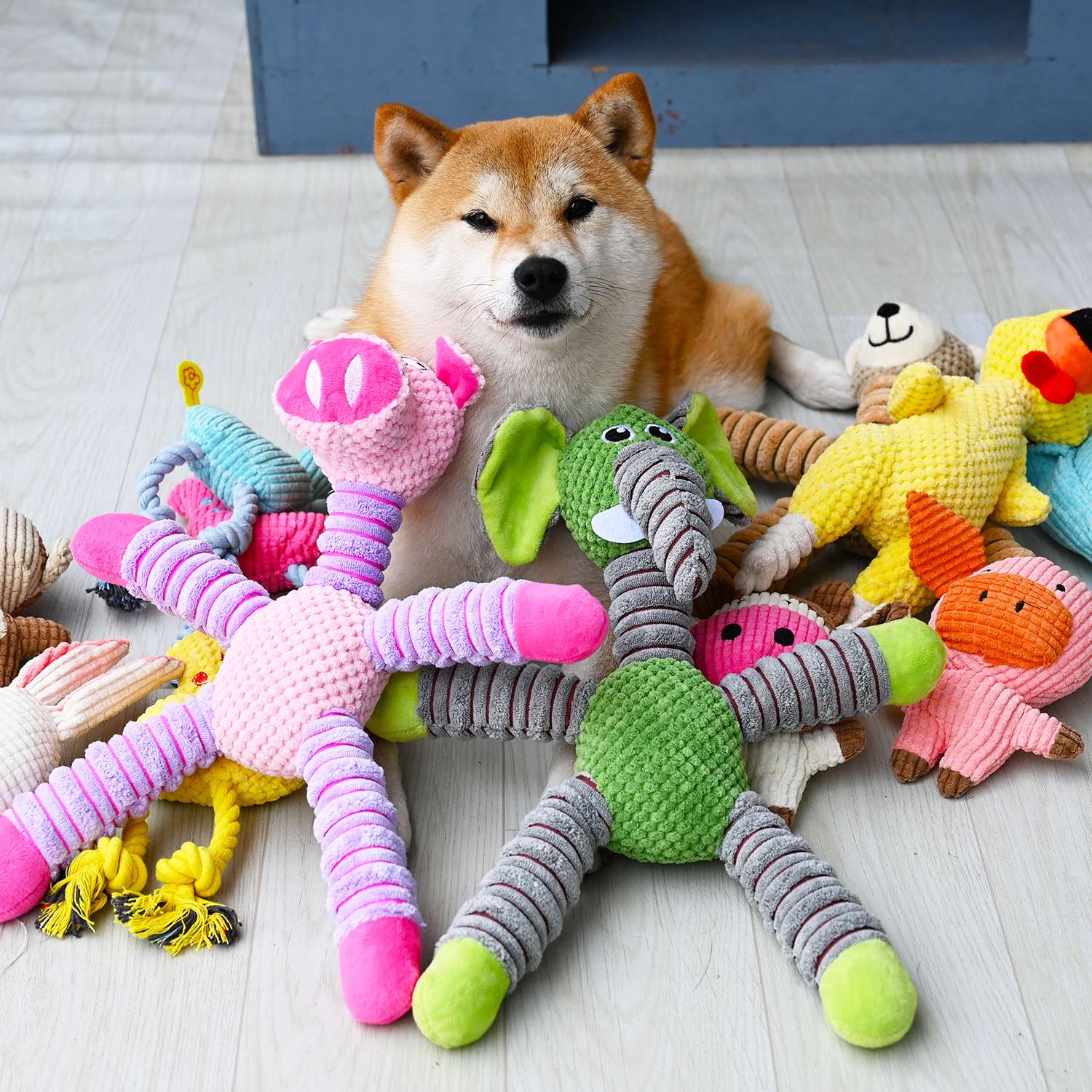 犬 おもちゃ ぬいぐるみ | わんこのお気に入り玩具セット