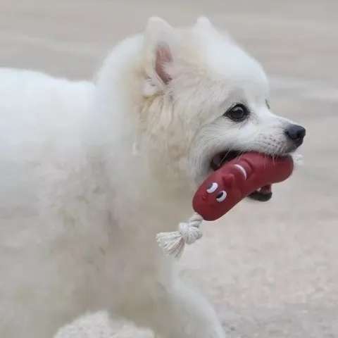 犬 おもちゃ ロープ | わんちゃんの噛みごこちロープ