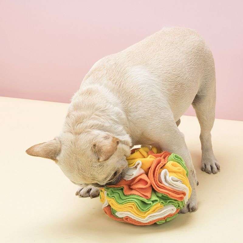 犬 おもちゃ 知育 | わんちゃんの脳トレボール