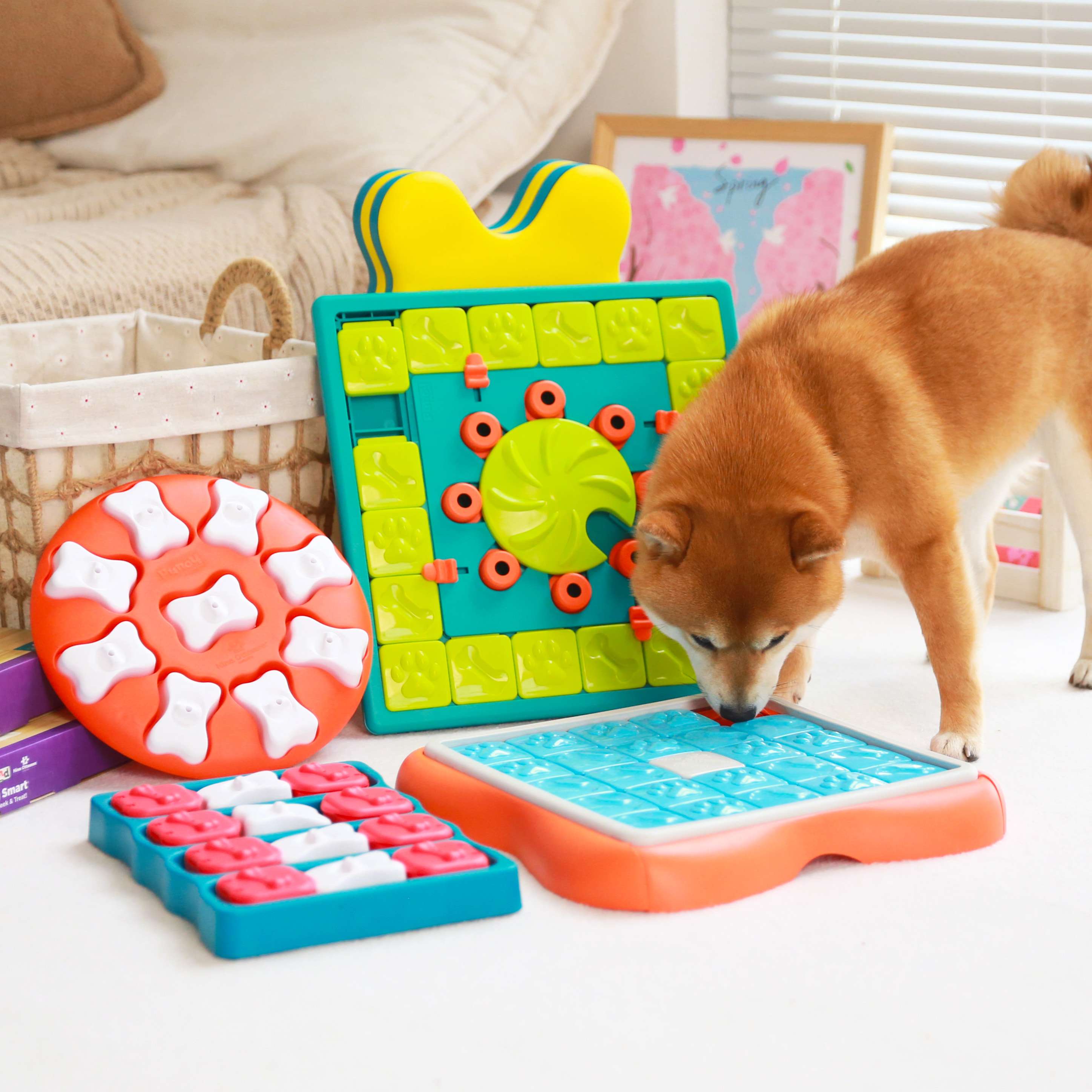 犬 おもちゃ 知育 | ペット用パズルトイ 知育セット