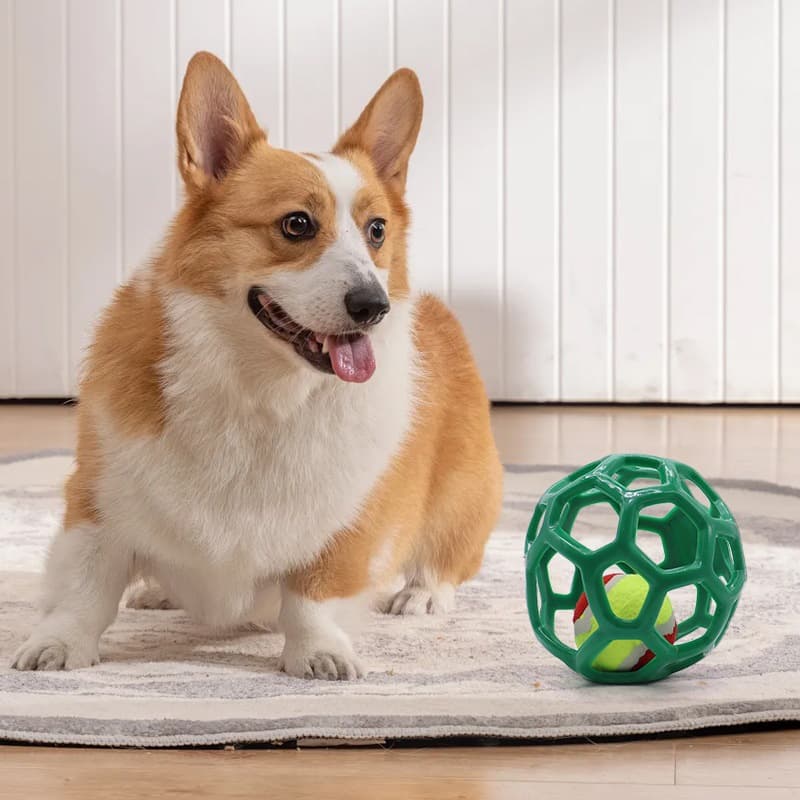 犬のおもちゃ 穴あき格子ボール ペット遊び玩具