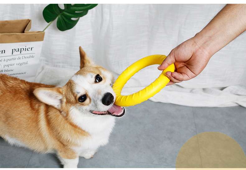 犬 おもちゃ 歯磨き | わんちゃんの歯磨きトレーニングおもちゃ