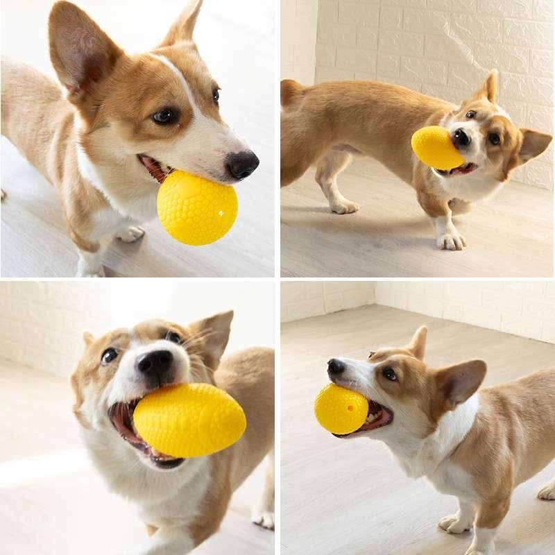 犬 おもちゃ ボール | わんちゃん大好き！ 噛んで遊べる発声ボール