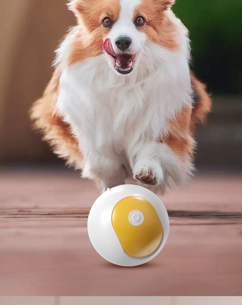犬 おもちゃ 知育 | ころがる知育フードボール
