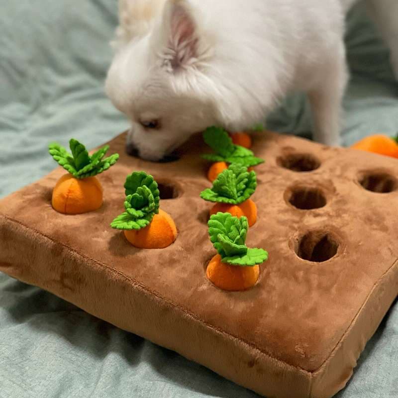 犬 おもちゃ 知育 | わんちゃんの野菜収穫パズル
