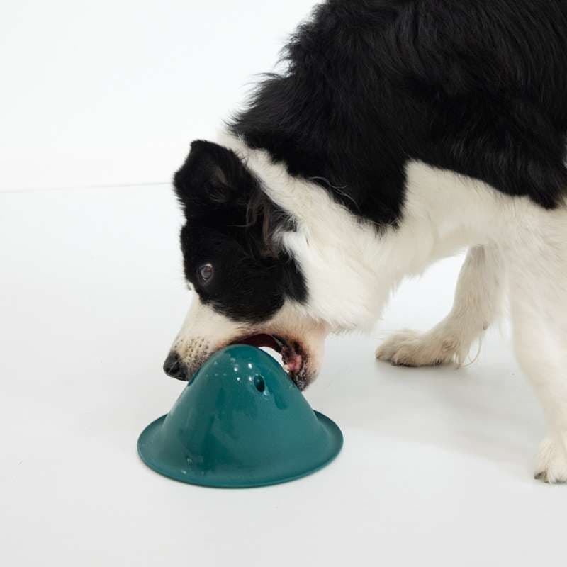 犬 おもちゃ 知育 | 長く遊べる知育ボウル