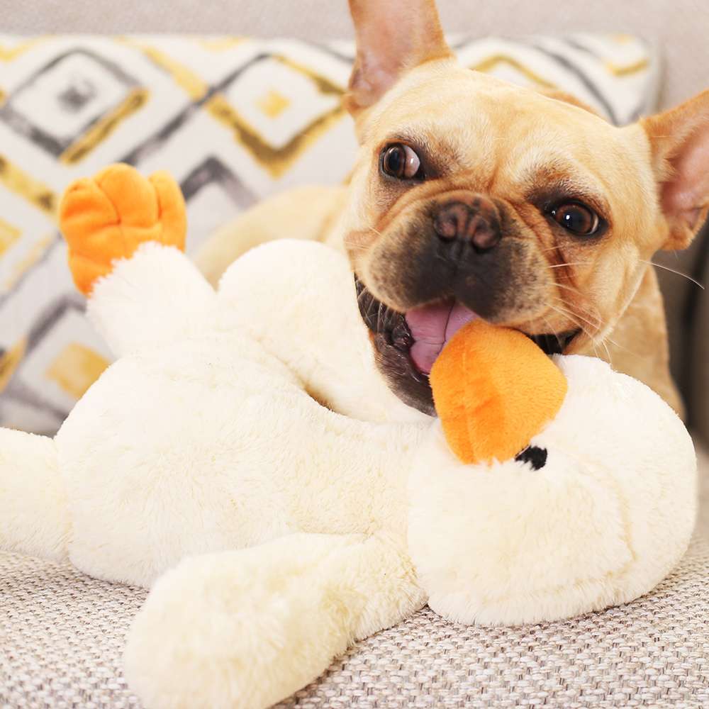 犬 おもちゃ ぬいぐるみ | わんちゃんの癒しパートナー アヒルさんぬいぐるみ