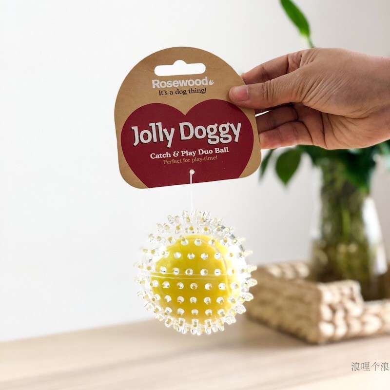 犬 おもちゃ ボール | わんわん喜ぶ遊びボール