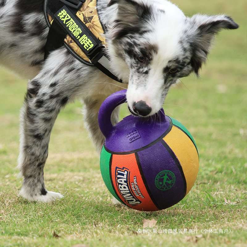 犬のおもちゃ ボール