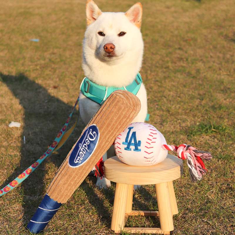 犬 おもちゃ 歯磨き | 野球ファン犬のデンタルトイ