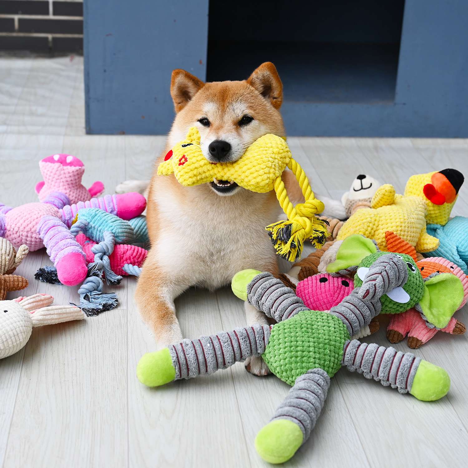 犬 おもちゃ ぬいぐるみ | わんこのお気に入り玩具セット