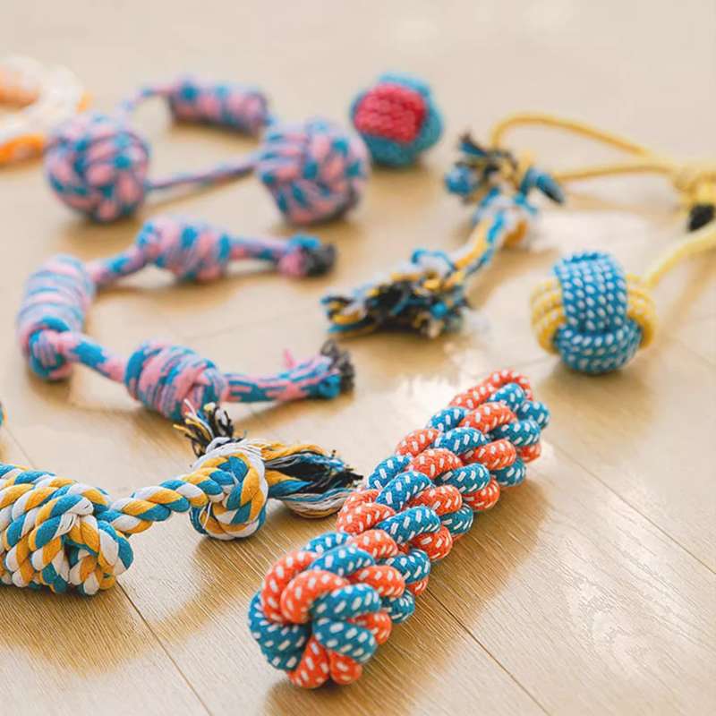 犬 おもちゃ ロープ | 愛犬用デンタルロープ遊具セット