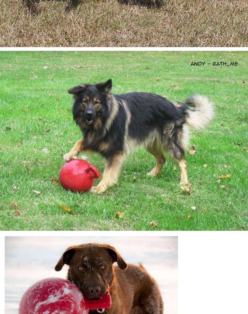 犬 おもちゃ ボール | 大型犬用 タフグリップ ジョリーボール