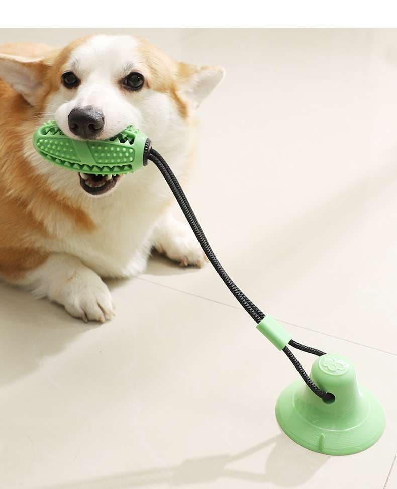 犬 おもちゃ | 吸盤付き犬用おやつディスペンサー玩具