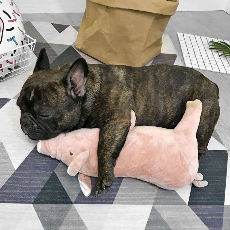 犬 おもちゃ ぬいぐるみ | ブタ抱き枕