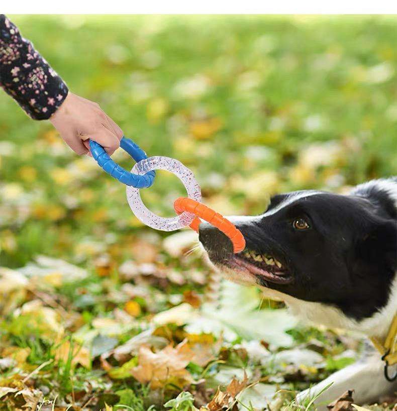 犬 おもちゃ 歯磨き | わんちゃんの噛み噛みリング