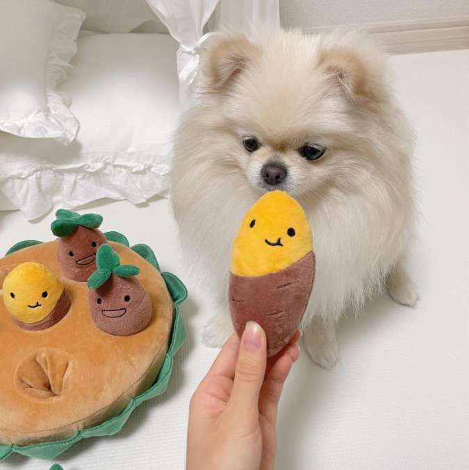 犬 おもちゃ 知育 | わんちゃんの野菜畑パズルクッション