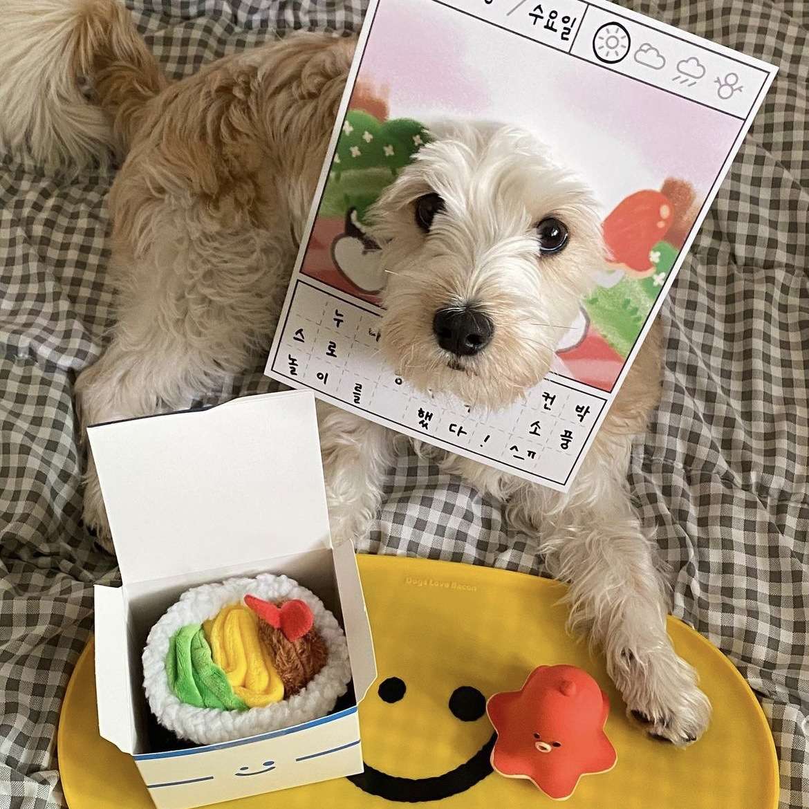 犬 おもちゃ 知育 | わんちゃんのおすし遊び知育トイ