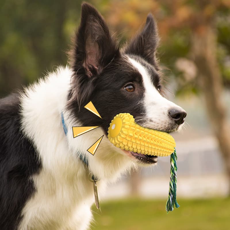 犬のおもちゃ とうもろこし歯みがきおもちゃ