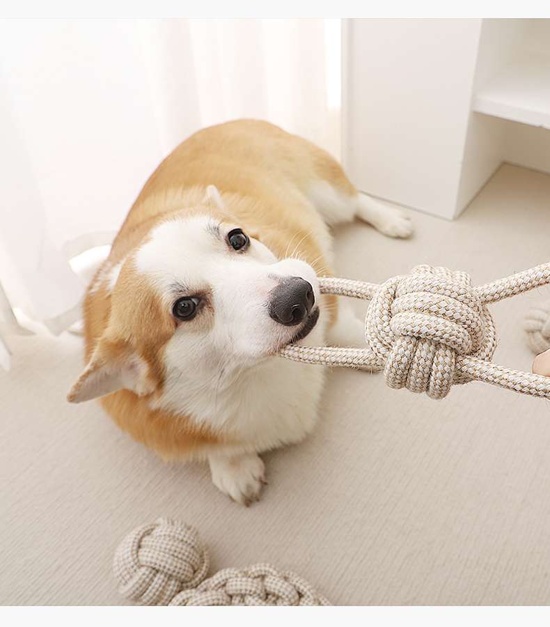 犬 おもちゃ ロープ | 愛犬用デンタルケア噛みロープセット