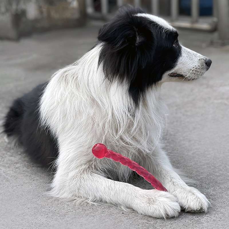 犬 おもちゃ 歯磨き | 愛犬の歯ケアスティック