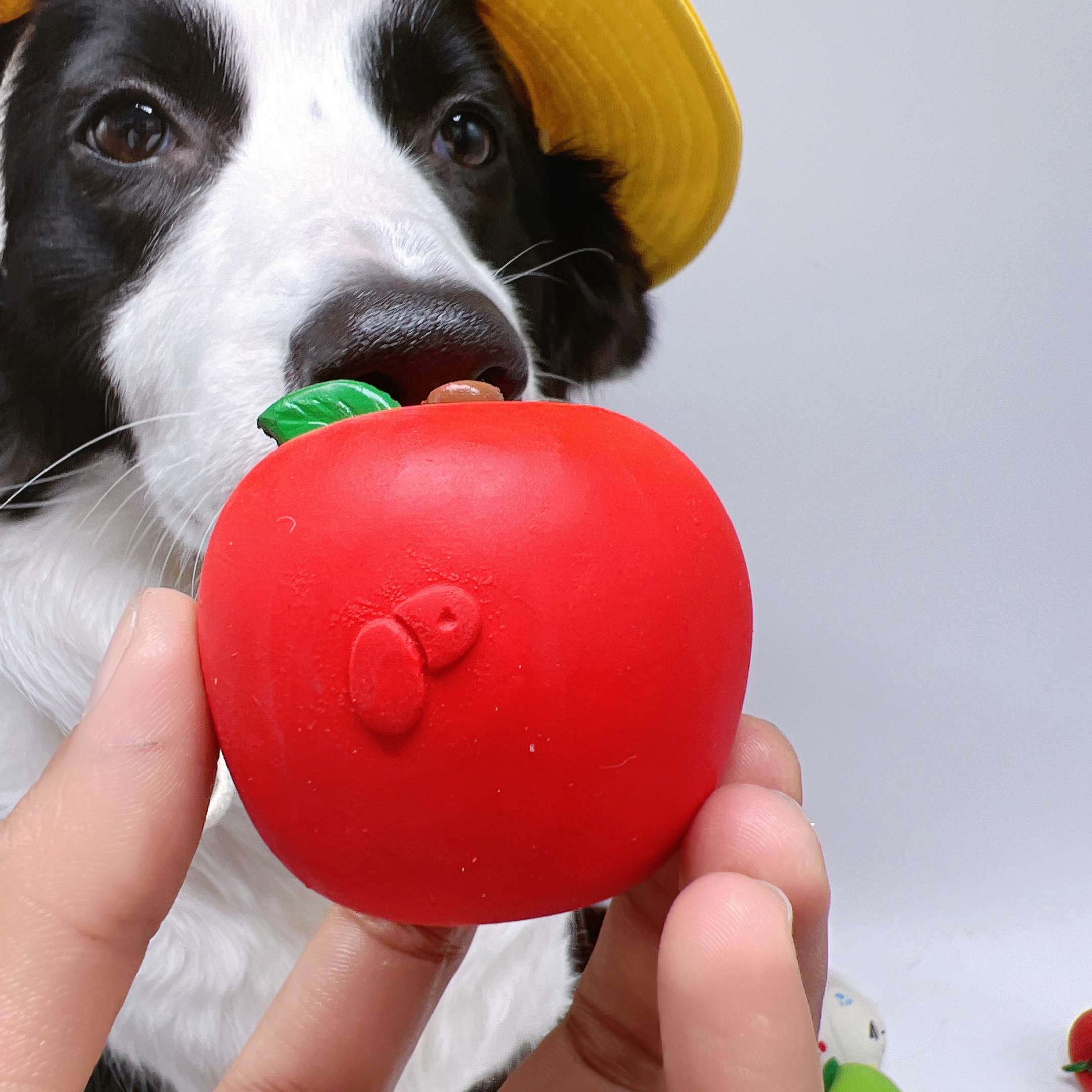 犬 おもちゃ ボール | わんちゃんのハッピーフルーツボール