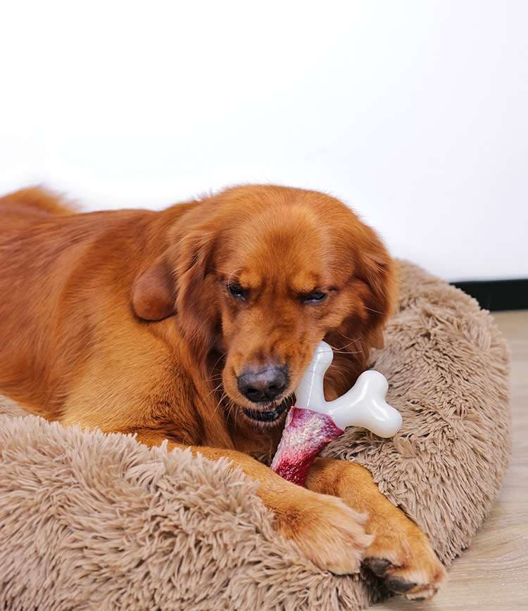犬 おもちゃ | ワンちゃんの安心おもちゃ骨