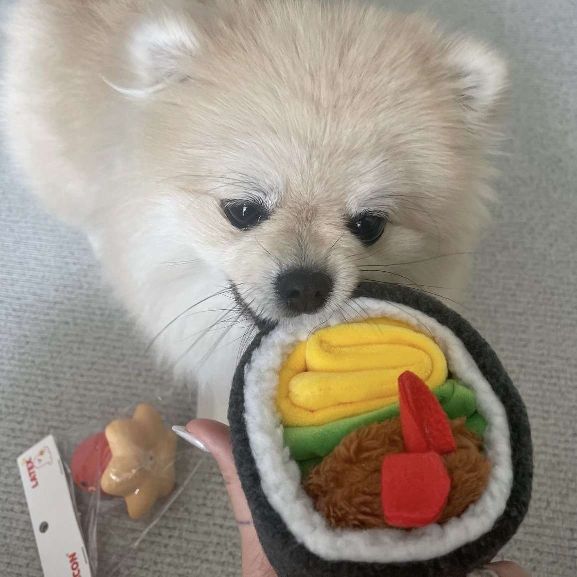 犬 おもちゃ 知育 | わんちゃんのおすし遊び知育トイ