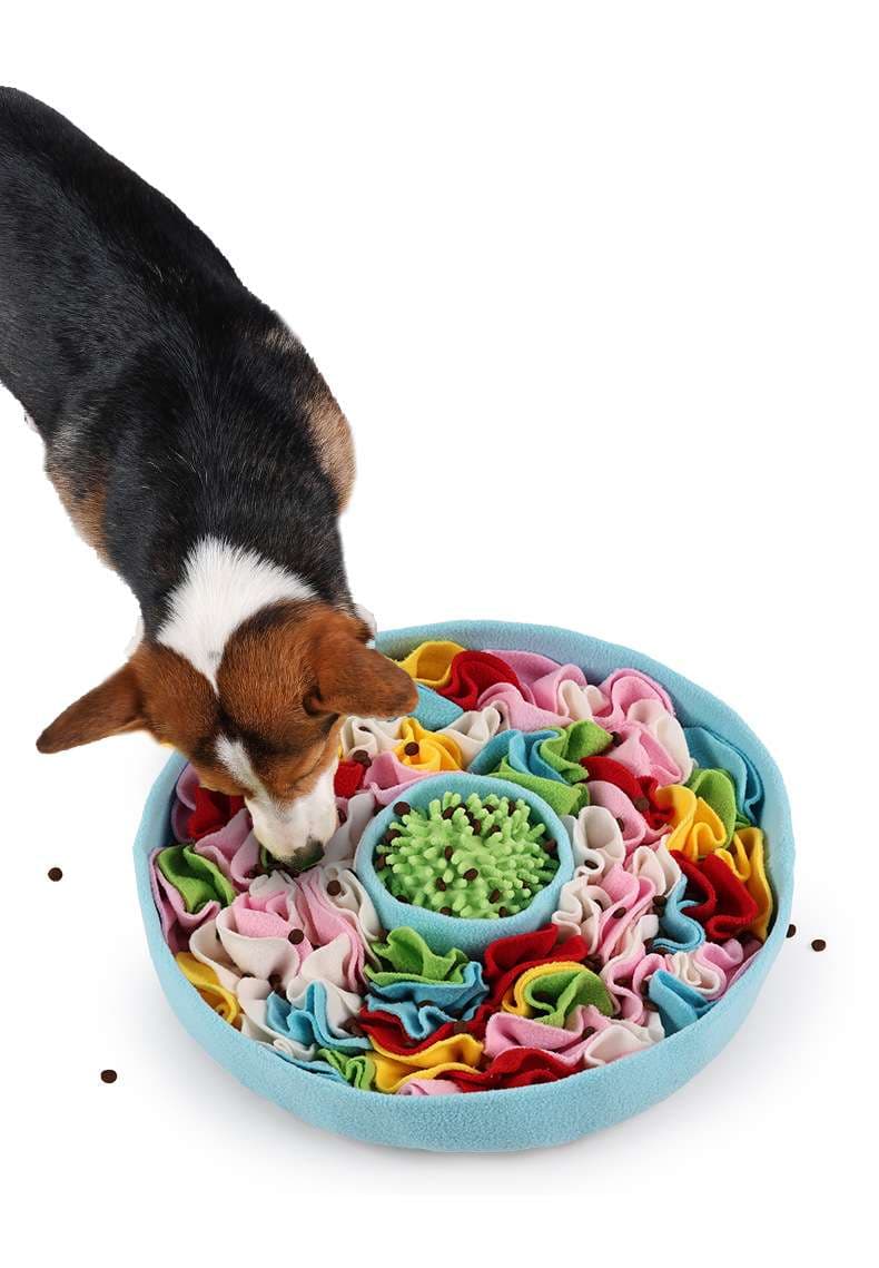 犬 おもちゃ 知育 | わんちゃんの嗅覚トレーニングマット