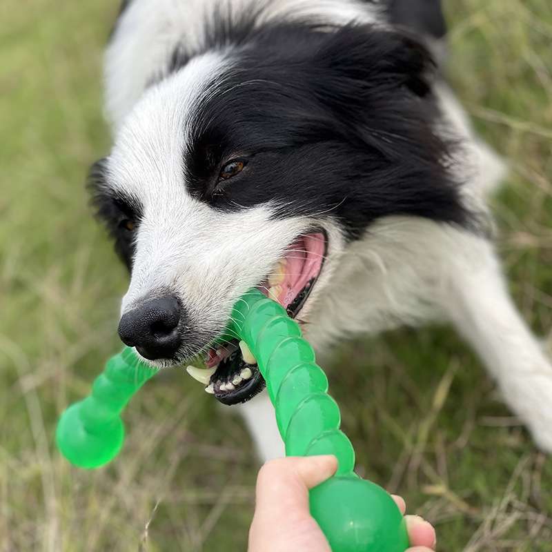 犬 おもちゃ 歯磨き | 愛犬の歯ケアスティック