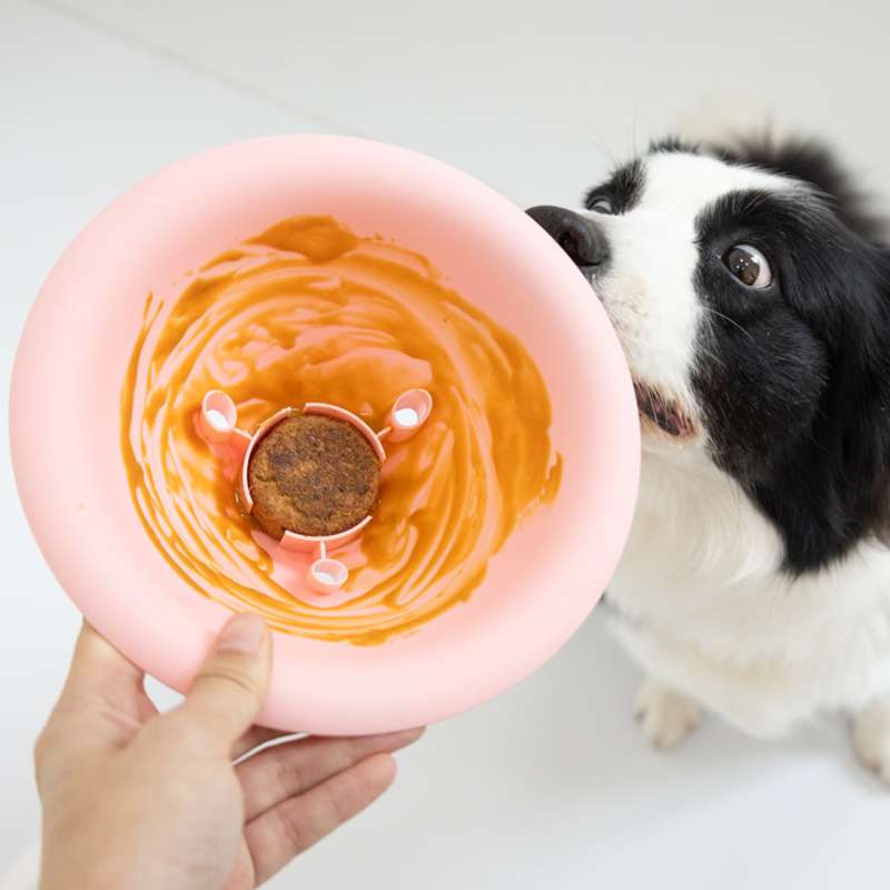 犬 おもちゃ 知育 | 長く遊べる知育ボウル