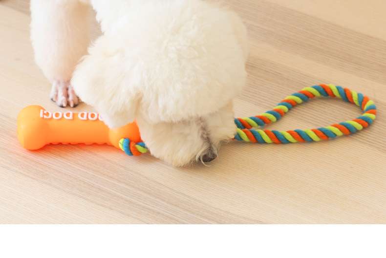 犬 おもちゃ ロープ | 愛犬とのふれあい遊び棒