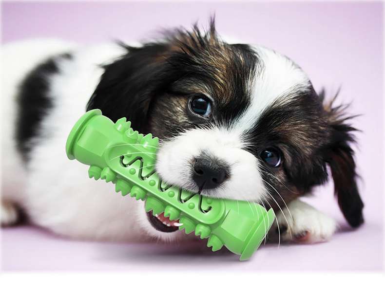 犬 おもちゃ 歯磨き | わんちゃんの歯磨きチューイングトイ