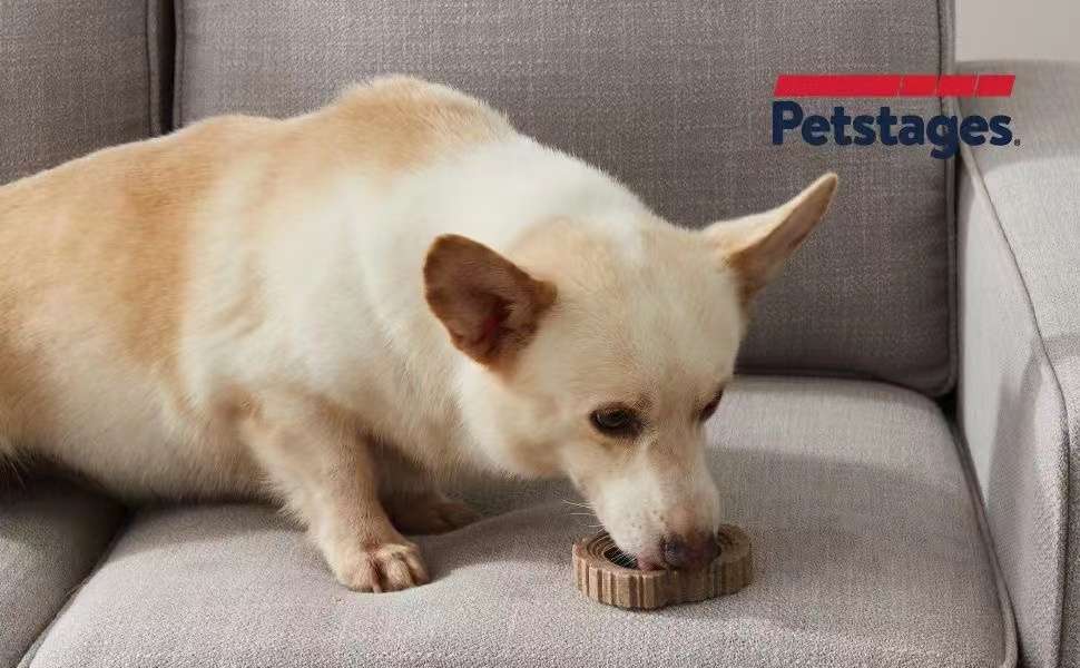 犬 おもちゃ 骨 | 木製デンタルチューおもちゃセット