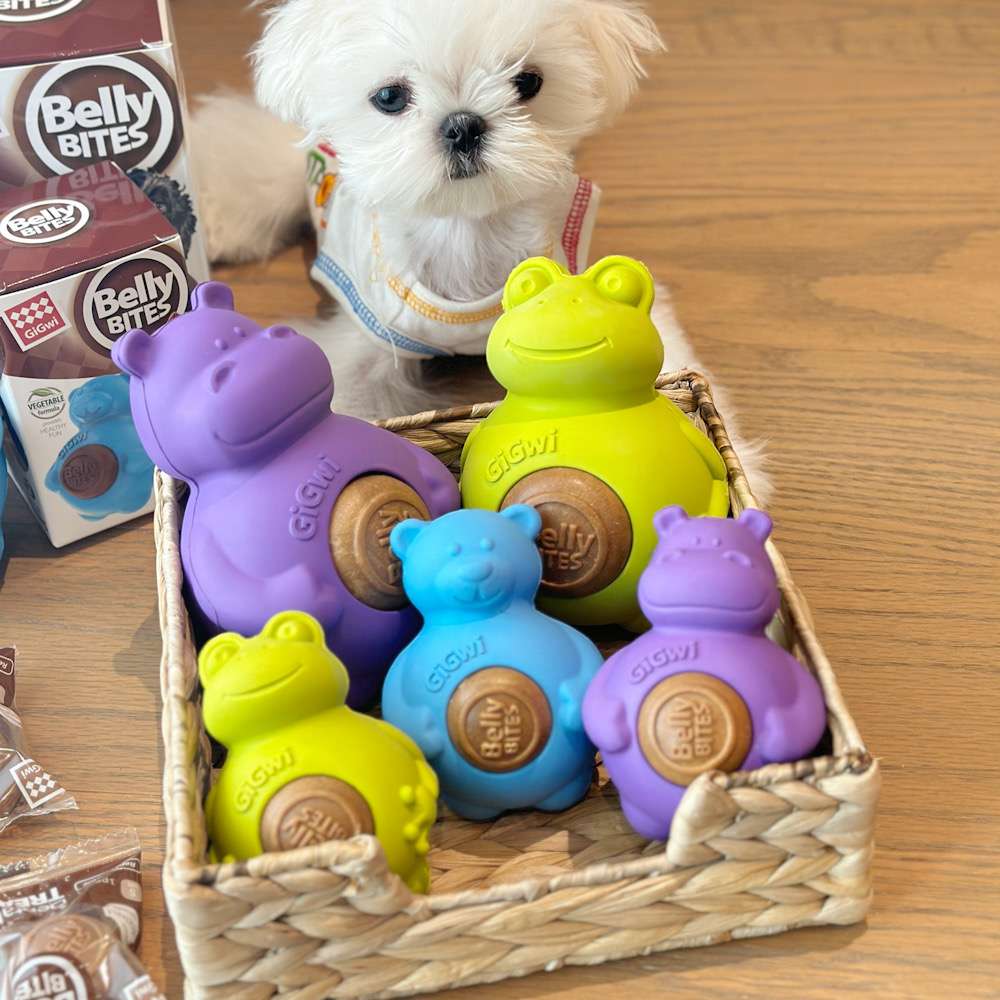 犬 おもちゃ 歯磨き | わんちゃんの歯磨きバディ