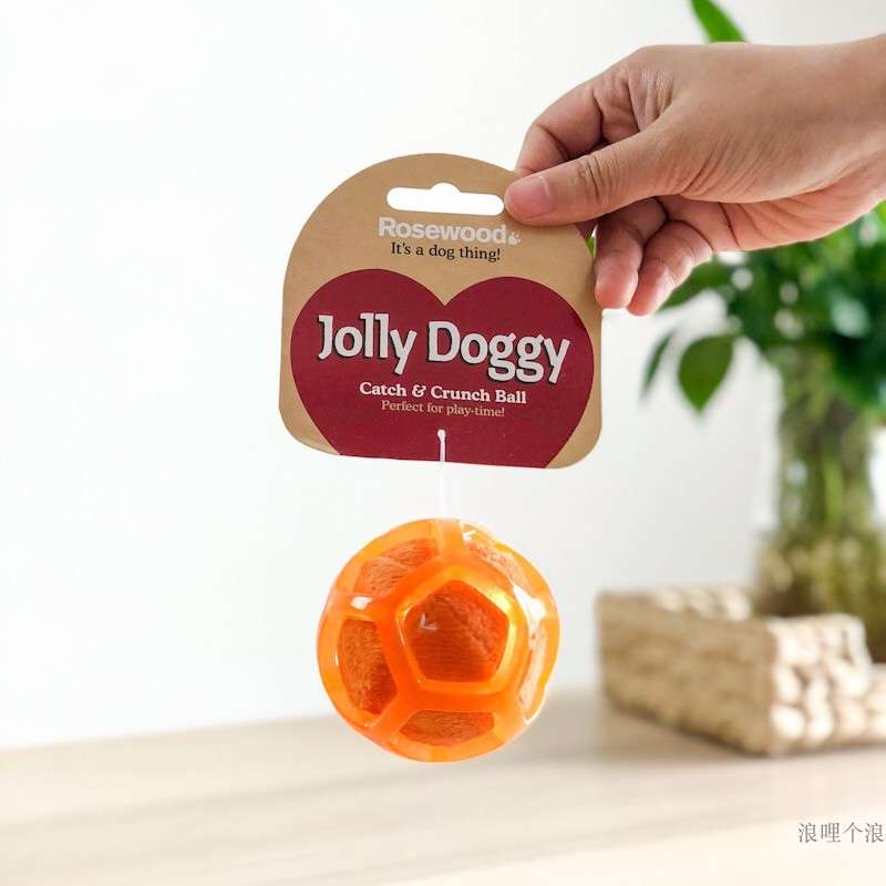 犬 おもちゃ ボール | わんわん喜ぶ遊びボール