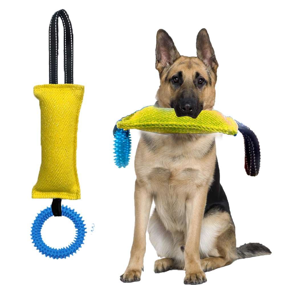 犬 おもちゃ | わんわんジャンピングトイ