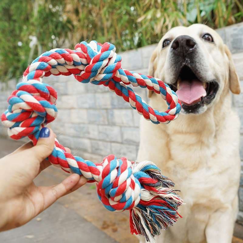 犬 おもちゃ ロープ | 愛犬とのきずな深まるおもちゃ