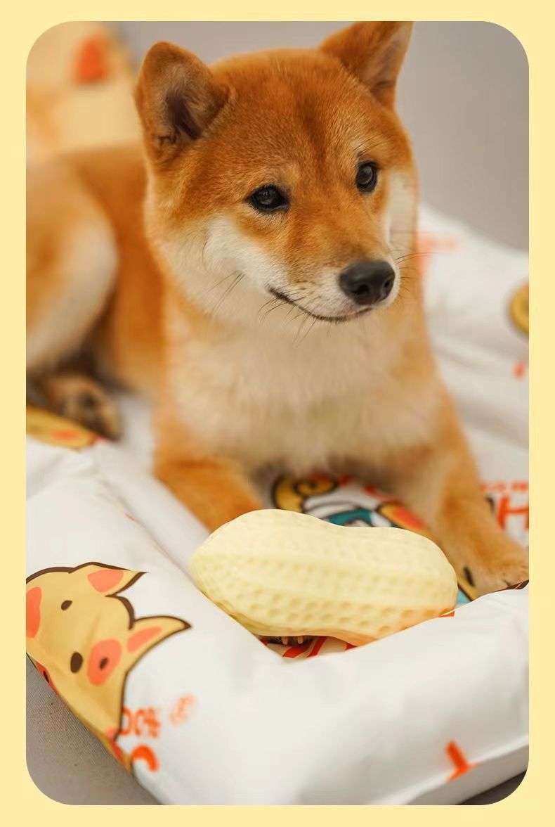 犬 おもちゃ | ミルク香るピーナッツ型犬用噛むおもちゃ