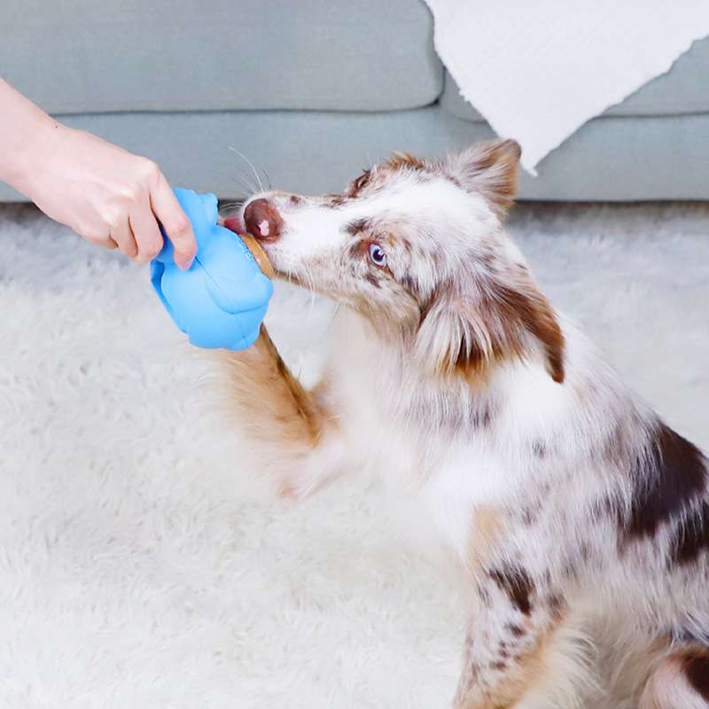 犬 おもちゃ 知育 | わんちゃんの知恵袋 おやつ自動提供機