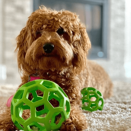 犬のおもちゃ 犬のおもちゃ 六角網目ボール