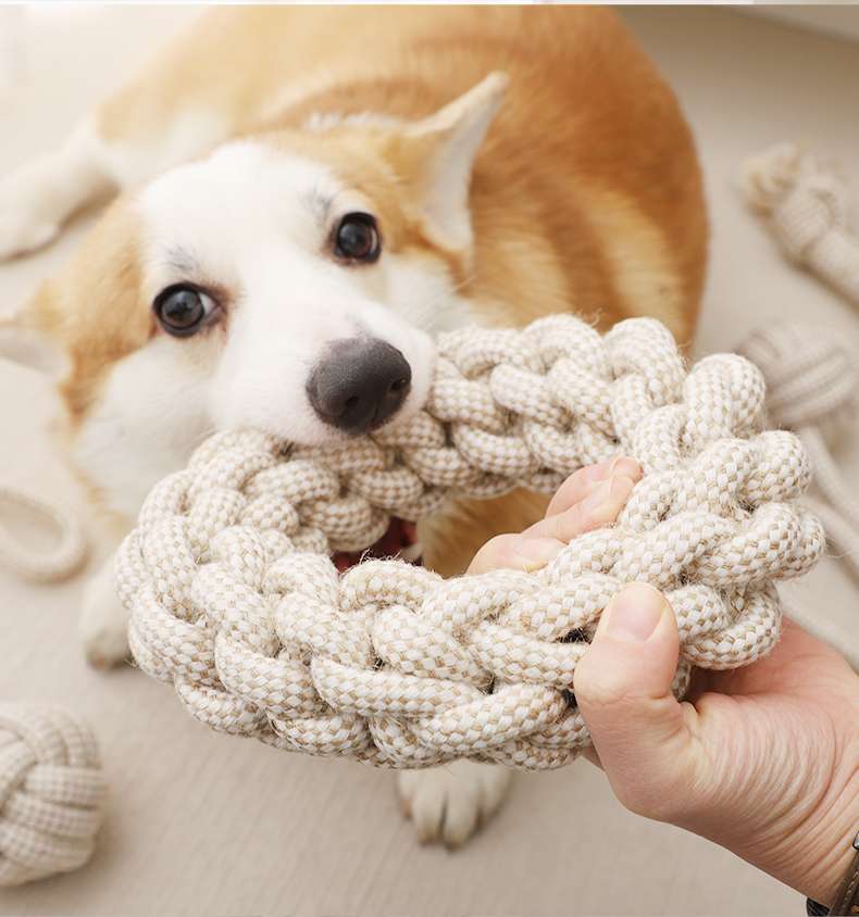 犬 おもちゃ ロープ | 愛犬用デンタルケア噛みロープセット