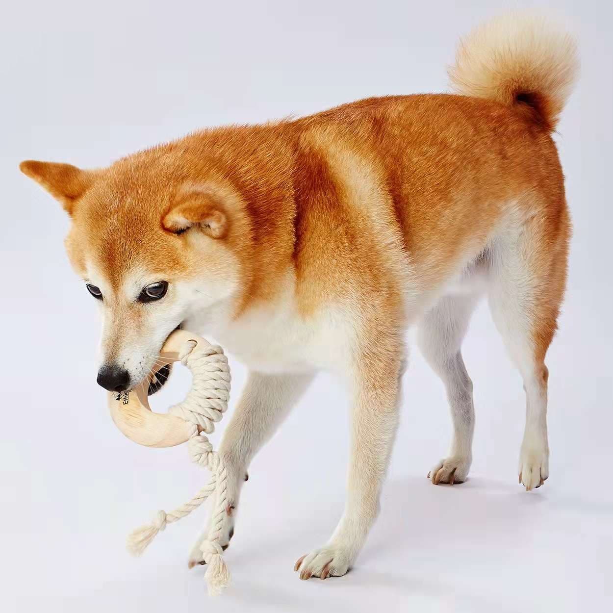 犬 おもちゃ ロープ | 天然木とロープの歯磨きおもちゃ